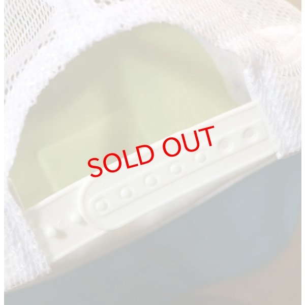 画像5: カメレオンCAP