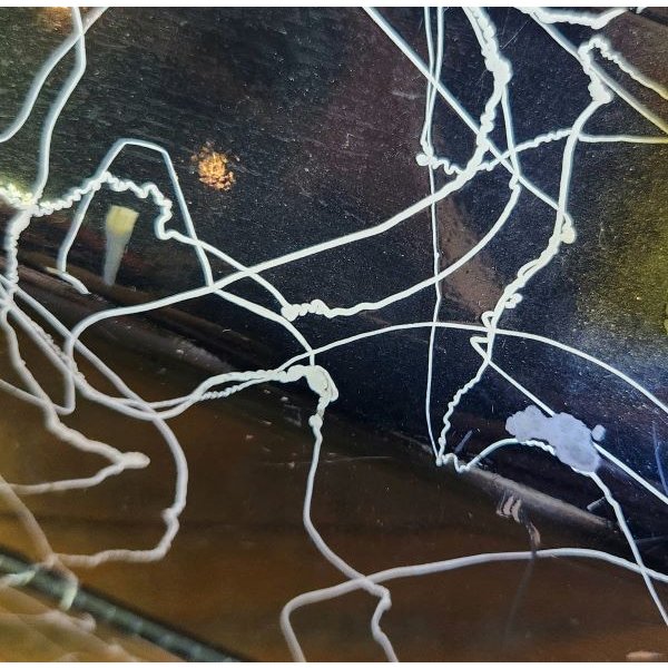 画像7: WATERLOO　タックルボックス