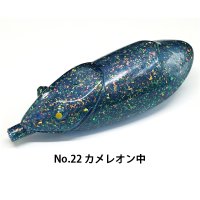 No.22 カメレオン中　