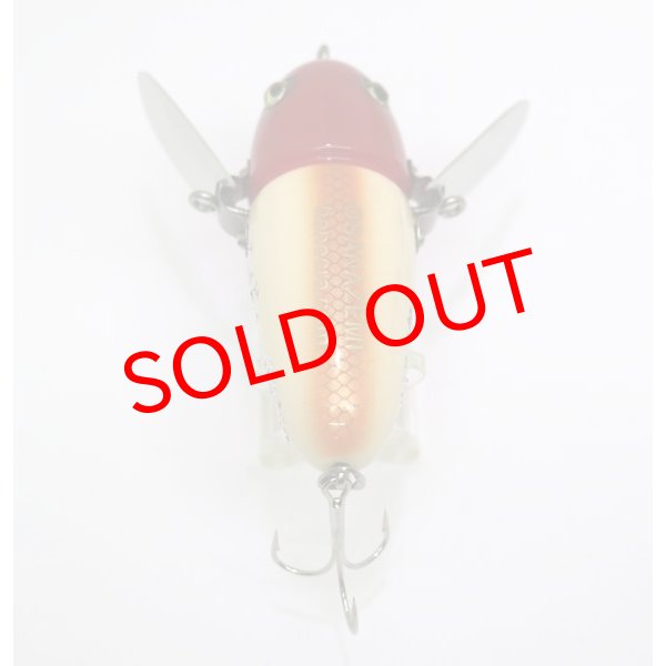 画像12: 幼蝉 (12)