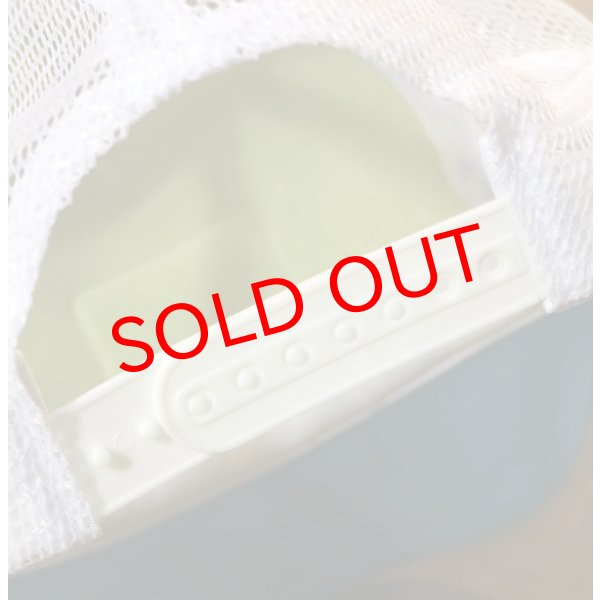 画像5: カメレオンCAP (5)