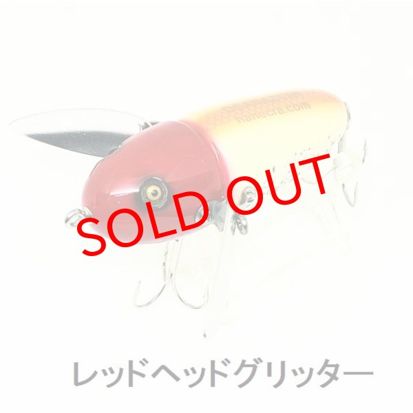 画像11: 幼蝉 (11)