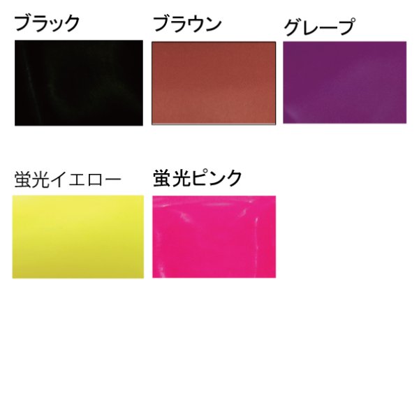 画像2: 429CJ セミ (2)