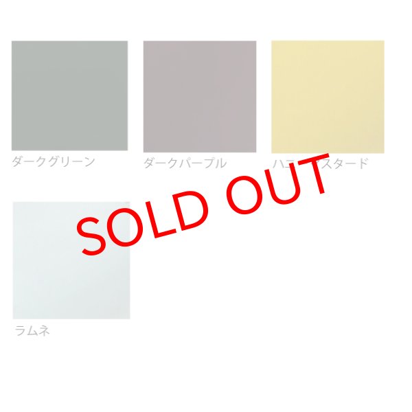 画像2: No,29　マッスルチャガー (2)