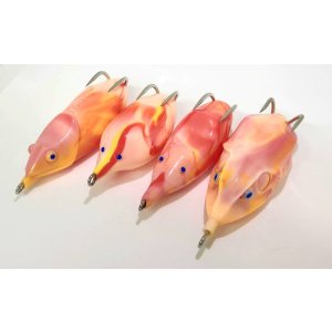 画像: OGA Muscle 2025.11